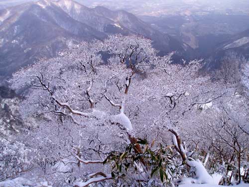 e0091909_207540.jpg