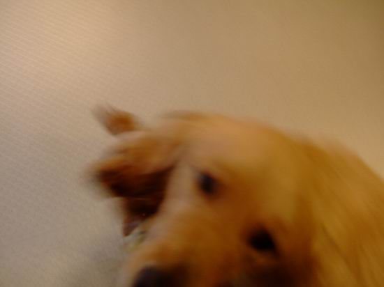 f0014815_11255213.jpg