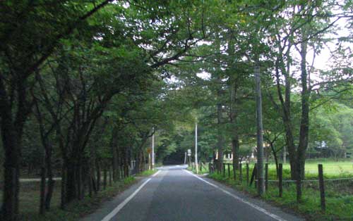 f0035016_17121875.jpg
