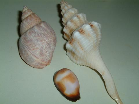 a0040725_16343569.jpg