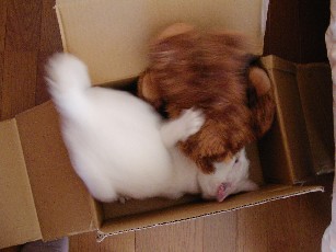 f0002833_20213100.jpg