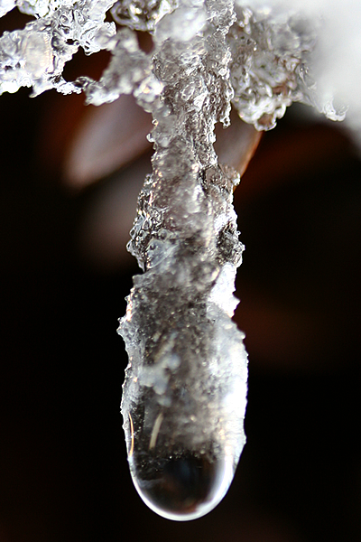 b0063234_23203288.jpg