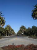 d0000937_1449180.jpg