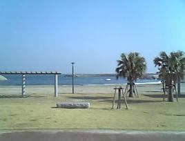 d0047840_2039869.jpg