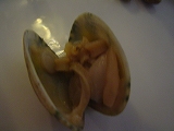 c0039768_22271823.jpg