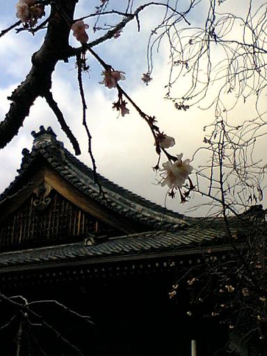 c0026178_2232068.jpg