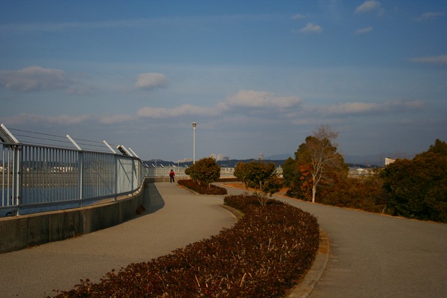 e0024081_16101996.jpg