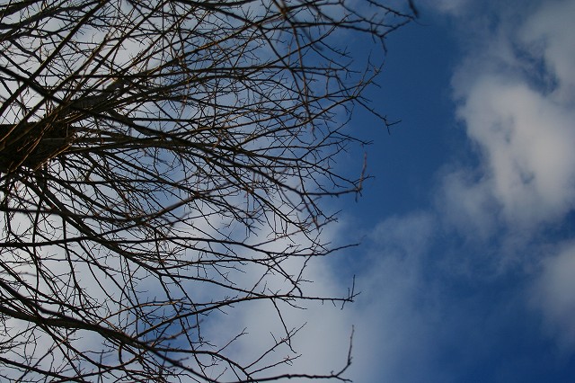 e0024081_16103174.jpg