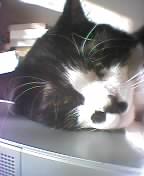 c0045283_2155489.jpg