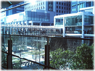 d0046294_12101580.jpg