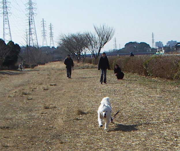 e0018604_14144437.jpg