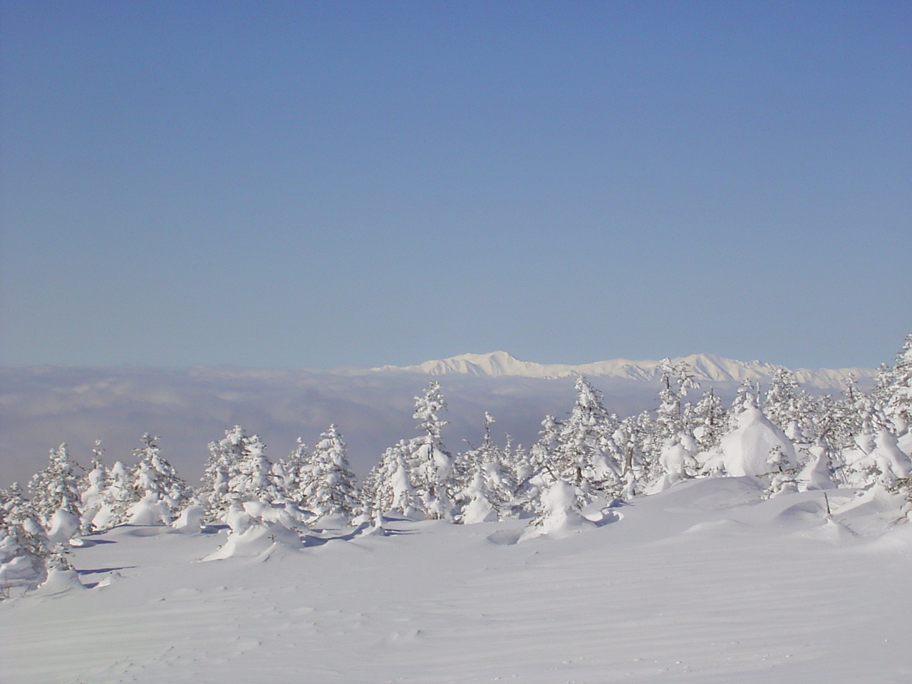 b0050305_21201075.jpg