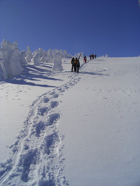 b0050305_2161399.jpg