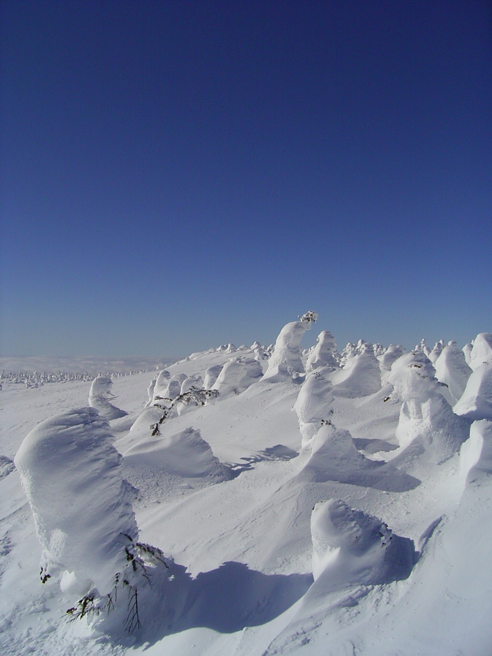 b0050305_2165222.jpg