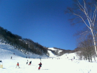 a0041508_13573845.jpg
