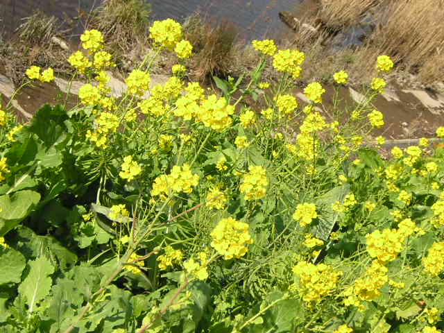 f0016823_10535964.jpg