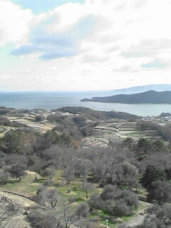 c0047024_133799.jpg