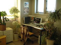 e0019942_22423131.jpg