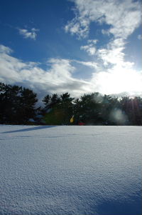 d0027057_2053710.jpg