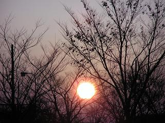 e0023164_23132755.jpg