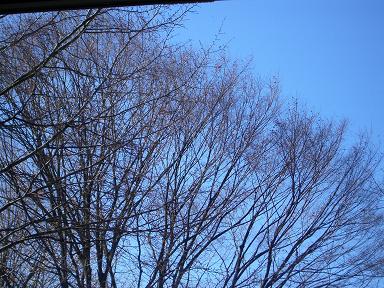 c0053571_15145225.jpg