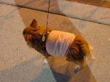 f0052071_11333673.jpg