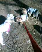 f0004180_1654297.jpg
