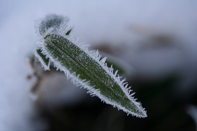 e0024081_2113248.jpg