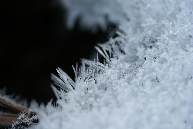 e0024081_2122163.jpg
