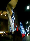 b0010882_2295489.jpg
