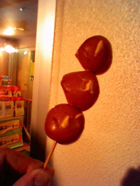 f0051283_11381321.jpg