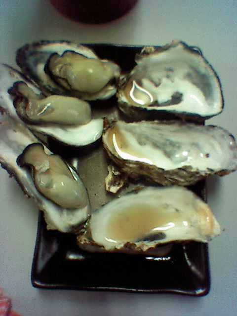 f0051283_120316.jpg