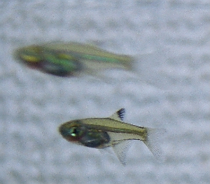 c0074591_12532669.jpg
