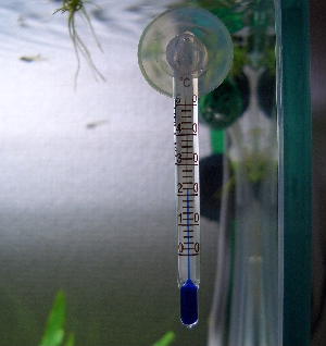c0074591_1253835.jpg