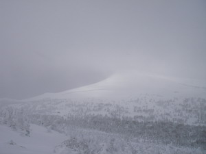 a0043193_8453880.jpg