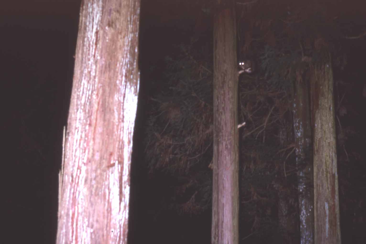 f0047593_1585211.jpg