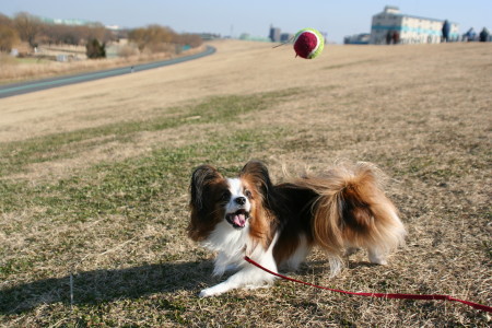 c0044199_18203015.jpg