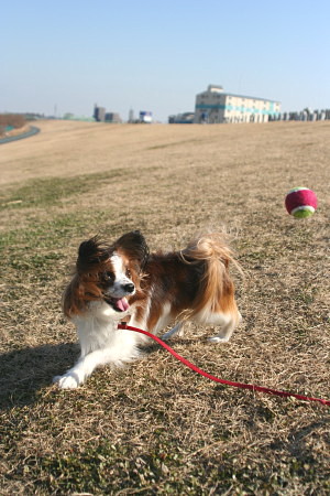 c0044199_18233090.jpg