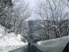 c0044700_23391148.jpg