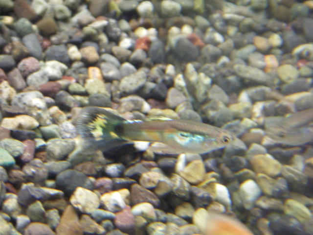 e0010301_1654116.jpg