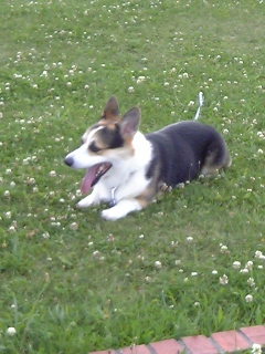 e0007313_1675148.jpg