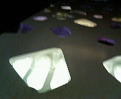b0019820_22172299.jpg