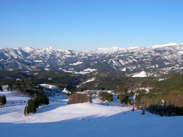 e0089227_20153849.jpg