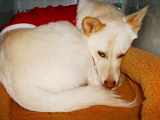 b0006329_9342255.jpg
