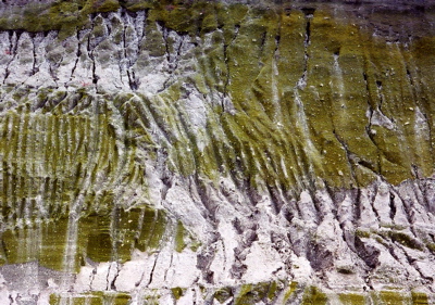 f0007631_0491842.jpg
