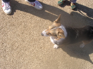 c0065643_16373949.jpg