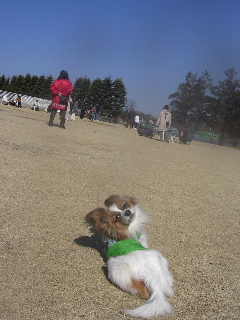 c0065643_16413441.jpg