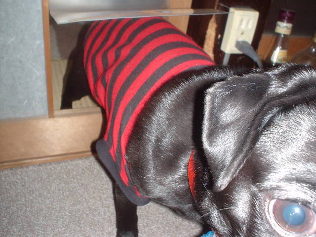 e0040544_07072.jpg