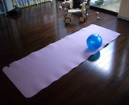 c0051759_98589.jpg