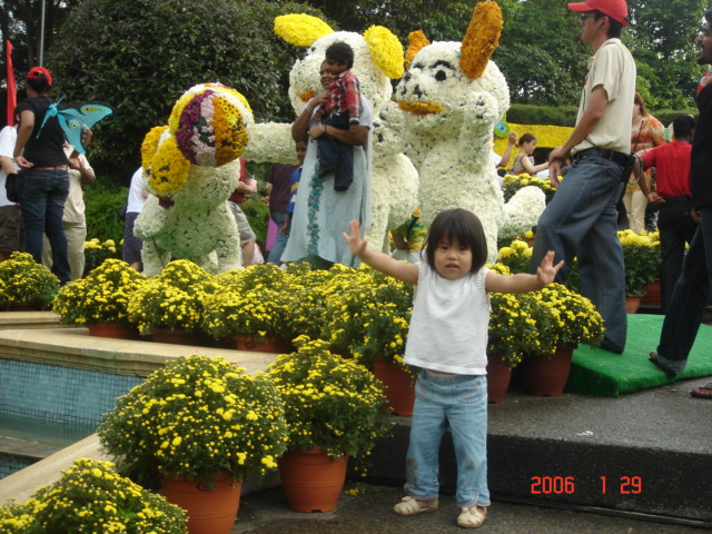 d0065459_4341350.jpg